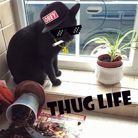 Thug Life Cat Thug Life Cat Thug Life Winter Boot