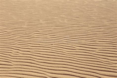 Lines In The Sand Of A Beach Stock Image Image Of Coastline Natural