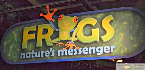 Adventure Aquarium Frogsnatures Messenger Exhibit Review