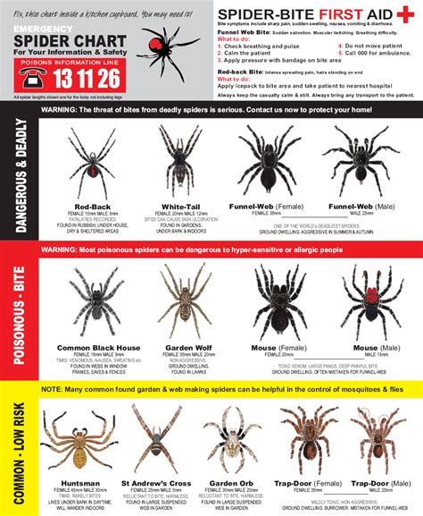 Pagesbusinesseslocal servicehome improvementpest control serviceallgreen pest control. All Star Pest Control - Newcastle, Hunter, Central Coast ...