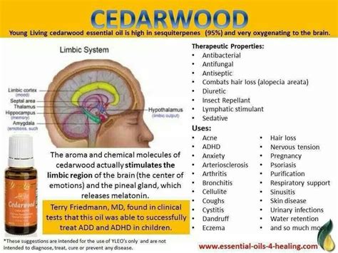 A highly effective formula specifically developed to stop hair loss and stimulate hair growth by repairing & restoring damaged hair. Cedarwood oil | Young Living Essential Oils | Pinterest