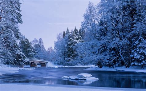 Wallpaper Winter Snow River Bridge Trees Park 1920x1200 Hd Picture