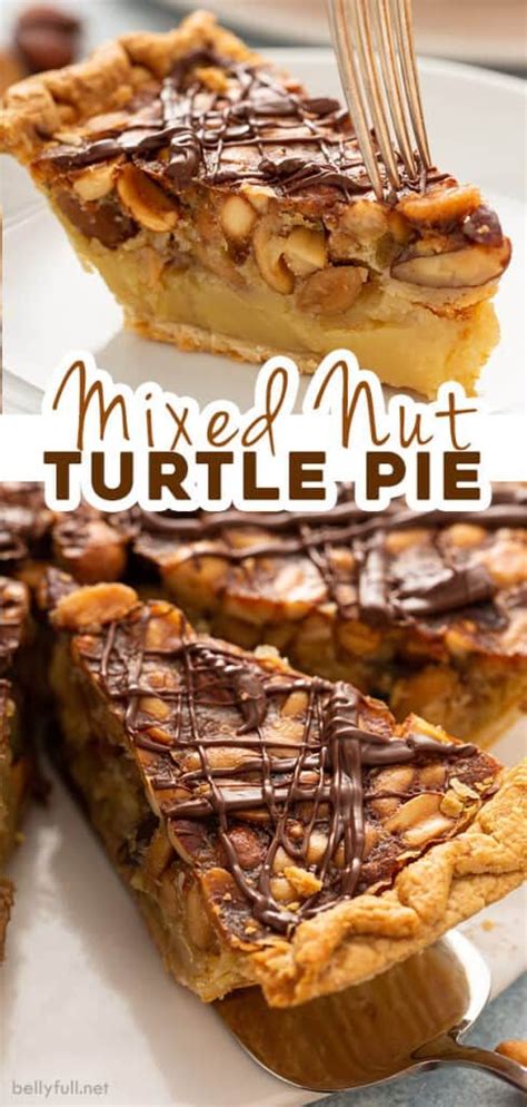This Easy Turtle Pie Recipe Has A Soft Custard Center Filled With