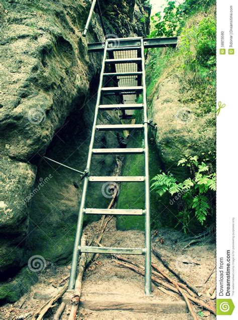 Ladder Stair Climbing On Mountain Via Ferrata Stock Photo Image Of