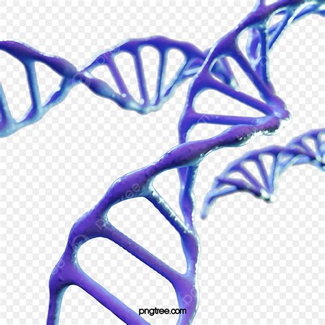 Purple Dna Chain 3d Element Violet Gene Sequence Png Transparent