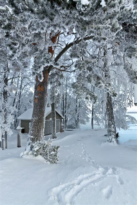 Top 50 Ideas About Snow Scenes On Pinterest Winter Wonderland