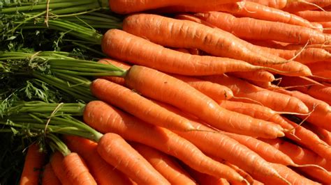 Myth Or Fact Eating Too Many Carrots Can Turn Your Skin Orange Ez