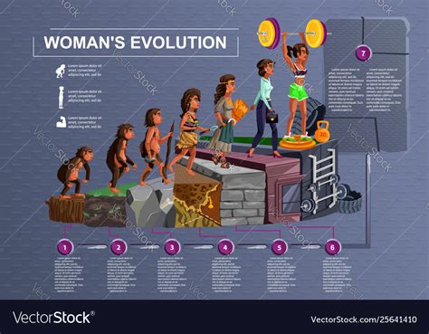 Woman Evolution Time Line Cartoon Royalty Free Vector Image