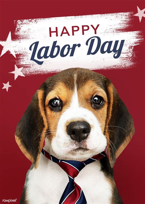 Monday, september 2, 2019 happy labor day 2019 i decided to keep posting a labor day greeting to my fellow physicians. Happy labor day from cute Beagle | free image by rawpixel ...