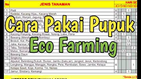 Cara Pemupukan Eco Farming Sinautani