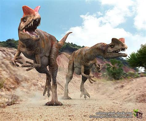 Dilophosaurus The Ultimate Dinosaur Wiki Fandom Powered By Wikia