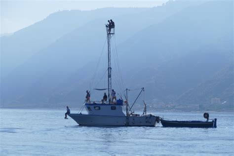Messina Swordfish Boat Sailors For Sustainability Sailors For