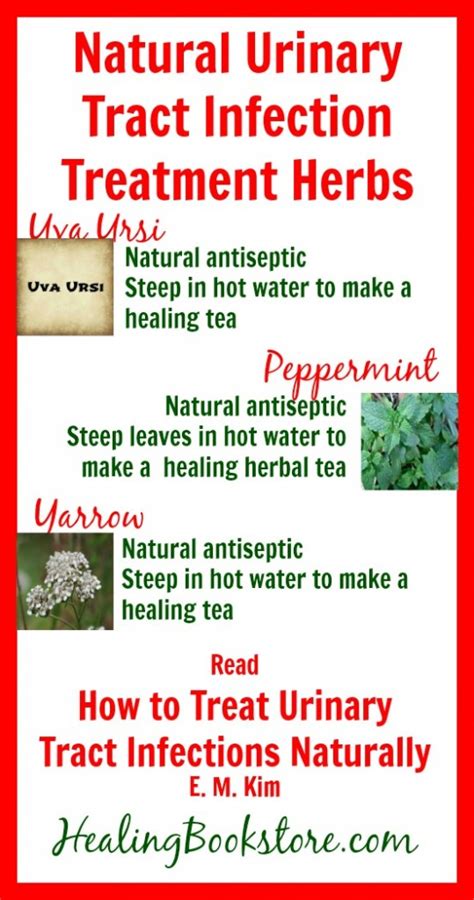 Herbs For Natural Urinary Tract Infection Treatment Infographic Healing Bookstore