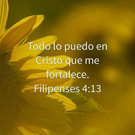 Bible Quotes In Spanish Inspiration