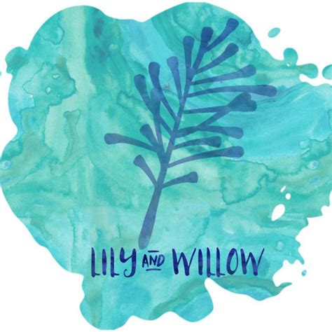 Lily And Willow Co