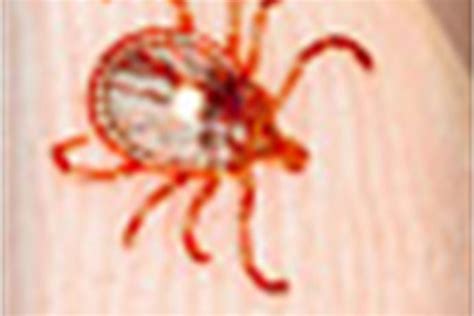 New Tick Borne Disease Heartland Virus
