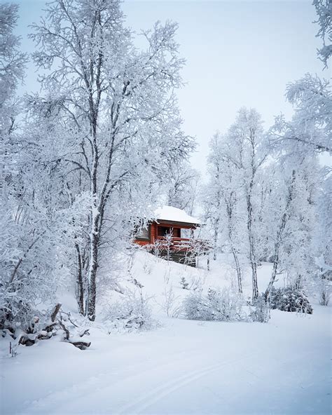 Red Wooden House Surrounded With Trees Covered With Snow · Free Stock Photo