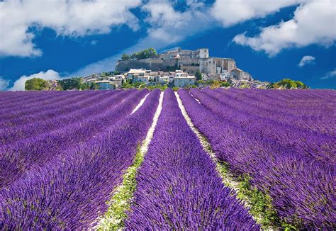 Provence Les Plus Beaux Villages Cycle Tours By Tourissimo
