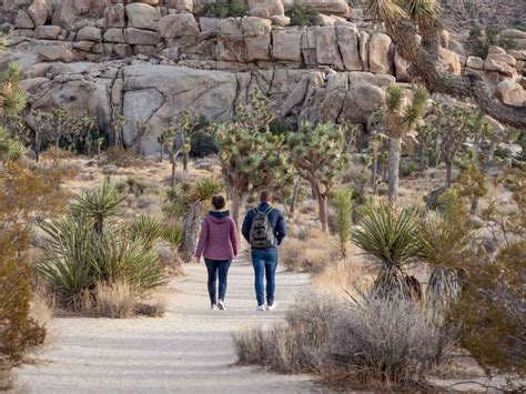 The 13 Best Hikes In Joshua Tree National Park In 2022 Joshua Tree