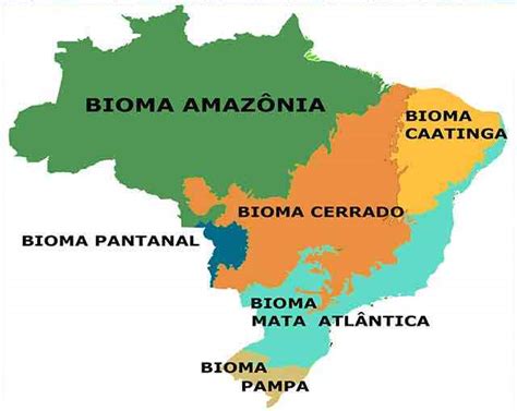 Os Principais Biomas Brasileiros Resumo Planeta Biologia