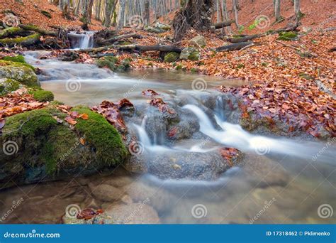 Brook In Autumn Forest Stock Photo Image Of Peace Flow 17318462