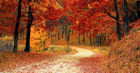 where to spot fall foliage near albany goldstein chrysler jeep dodge ram blog
