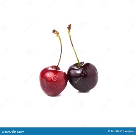 Two Cherries Isolated On White Background Stock Photo Image Of