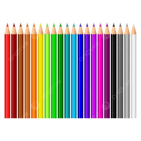 Lápices De Colores Con Colores Vector Png Lápices De Colores
