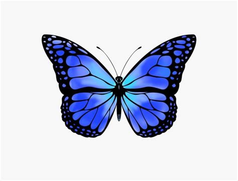 In addition to their aesthetic appeal, butterflies are important pollinators as well as sensitive indicators for environmental health. Aesthetic Butterfly Png - Largest Wallpaper Portal