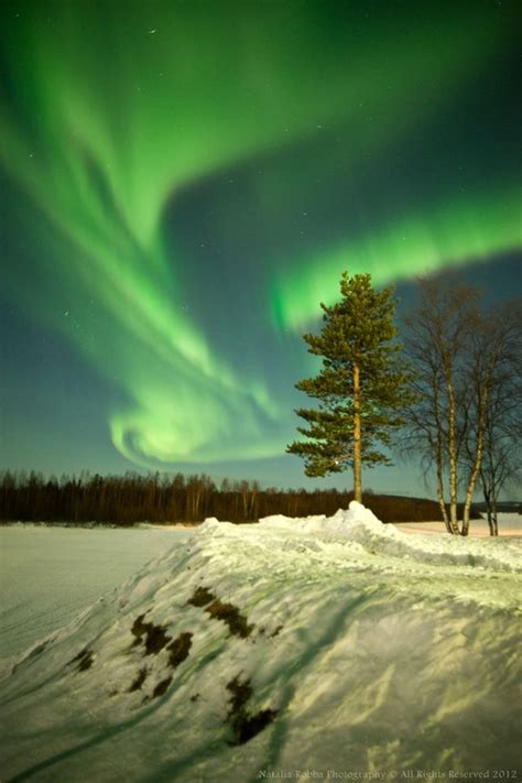 Skywatcher Natalia Robba Took This Photo Of An Aurora At Ivalo Finland