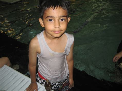Shaan Kumar Age 5 Seal Graduate Evo Swim School