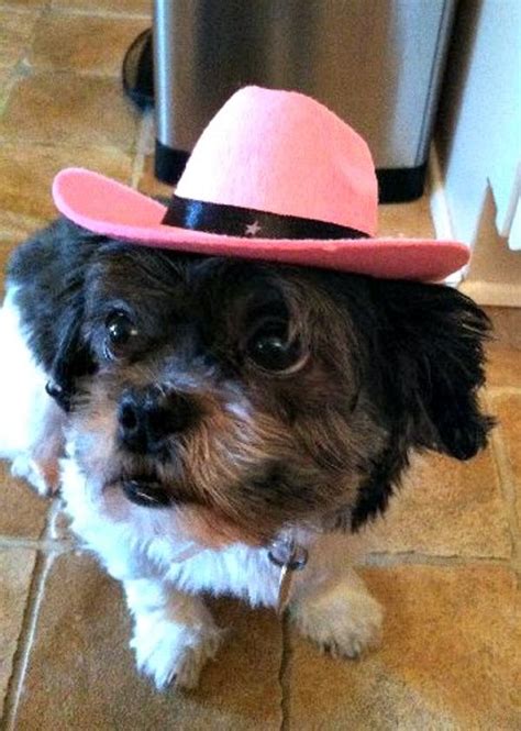 Dog Cowboy Hat Pink Baxterboo