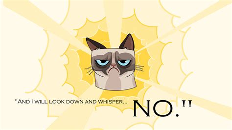 Grumpy Cat Wallpapers Hd 61 Images