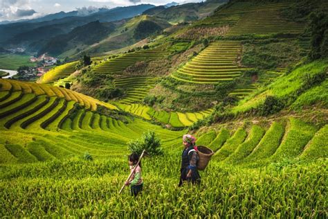 Guide For Vietnam Trekking Tours In Sapa Travel To Vietnam And Southest