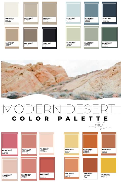 Modern Desert The Dotted Bow Decor Color Palette Modern Southwest