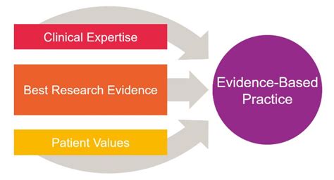 Evidence Based Practice Health Information And Research Essentials