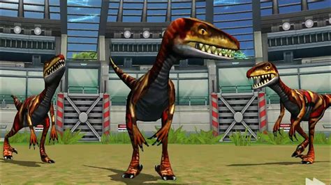Velociraptor Max Level 40 Battle Jurassic Park Builder Youtube