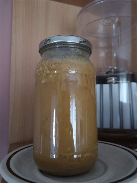 Ginger Beer Plant Recipe Uk Bryont Blog