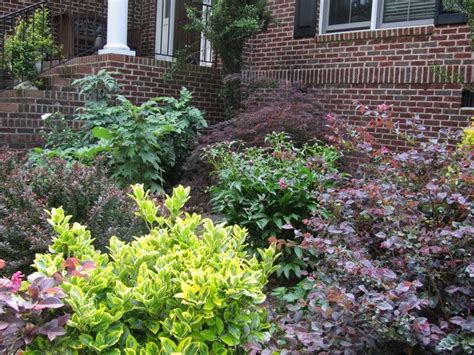 Trees planted near a foundation. Mary Ann's Country Garden: Put Some Color into Your ...