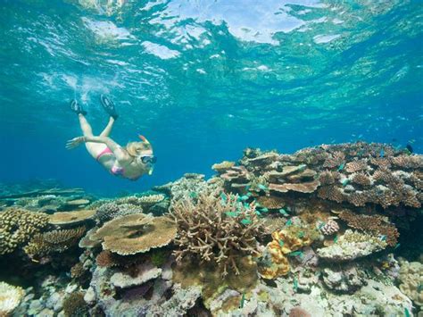 Great Barrier Reef Named The Worlds Best Place To Visit