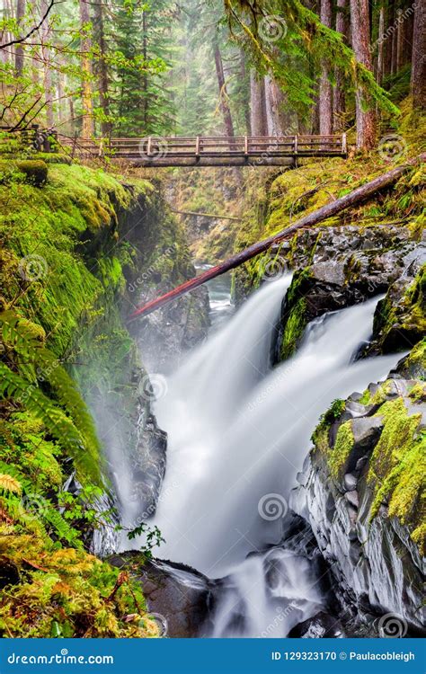 Sol Duc Falls Olympic National Park Washington State Usa Stock Photo