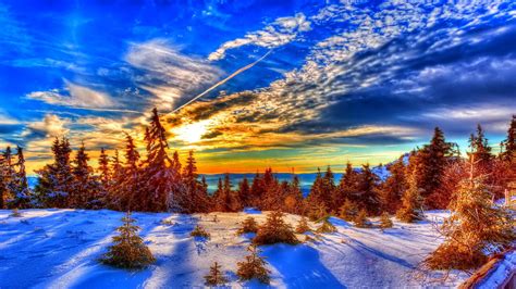 Free Download Free Winter Wallpaper Hd 1920x1080 For Your Desktop