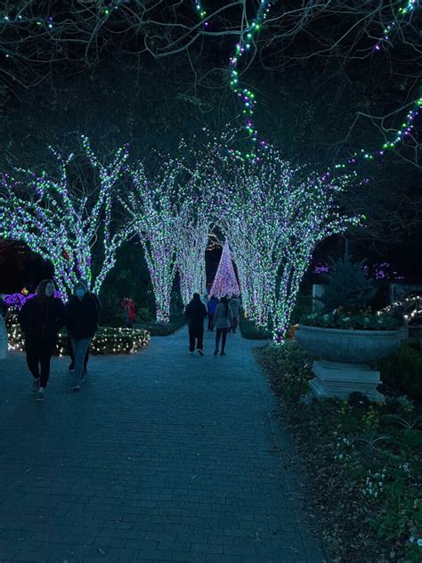 Garden Lights Holiday Nights At The Atlanta Botanical Garden The
