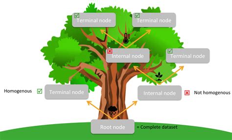 Classification Tree Bccvl