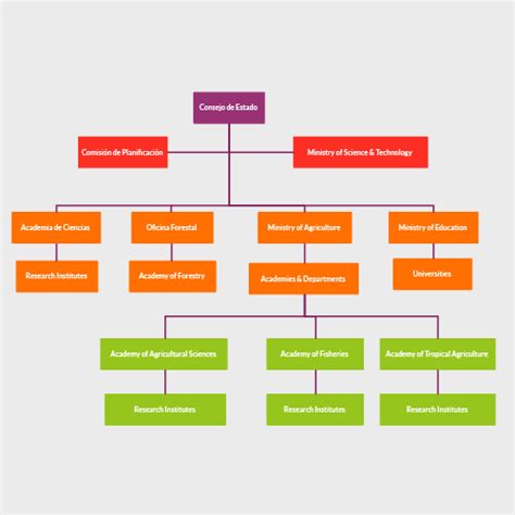 Ejemplos De Organigramas Plantillas De Organigramas Creately