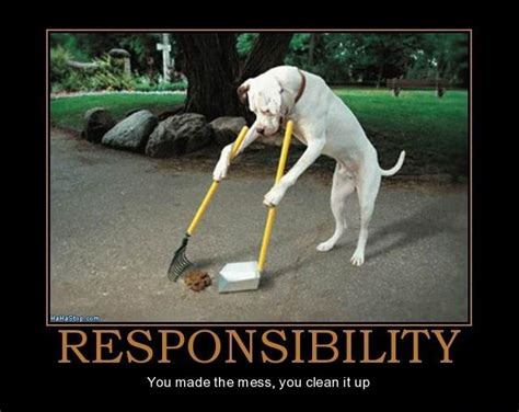 Responsibility You Made The Mess You Clean It Up Picture Quotes