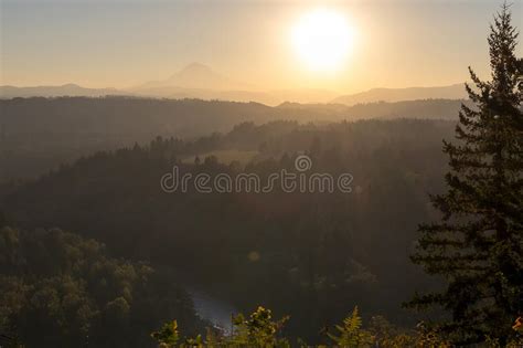 Sun Rays Over Foggy Oregon Forest Early Morning Stock Image Image Of