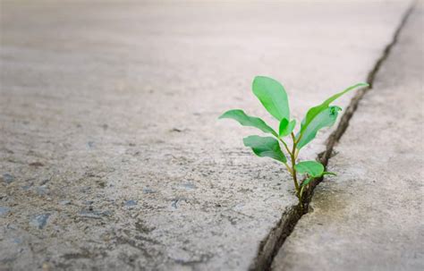 Lihat berapa jumlah anda usd (us dollar) sekarang di btc (bitcoin). Bitcoin-Kurs im Aufschwung: Halten die 4.000 US-Dollar ...