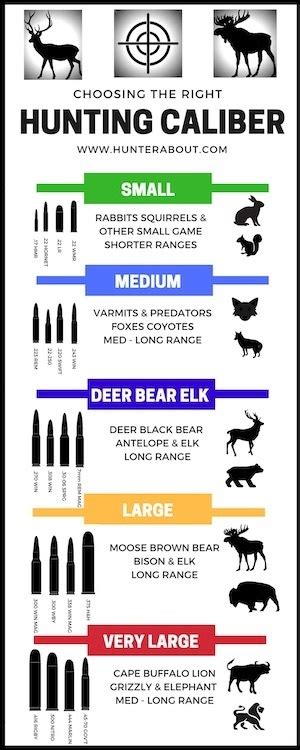 Hunting Caliber Infographic Choosing Your Bullet Guide With Images My