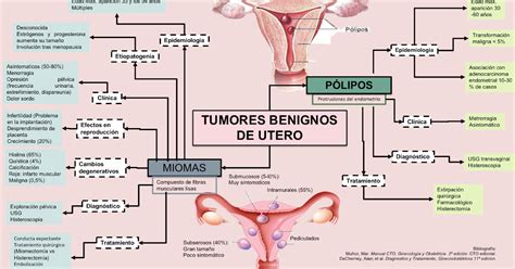 Blog De Evidencias De La Materia De GinecologÍa Y Obstetricia Tumores